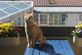Oliver Bild von Oliver