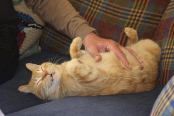 Oliver Bild von Oliver
