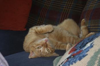Oliver Bild von Oliver