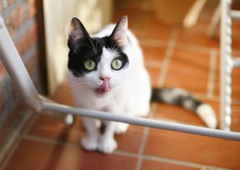 Mitxi Bild von Mitxi