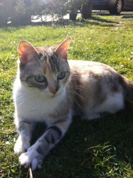 Suki Bild von Suki