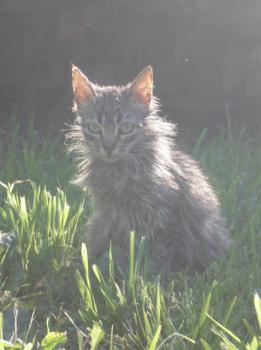 Canela Bild von Canela