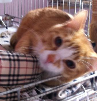 Charly Bild von Charly