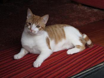Quini Bild von Quini