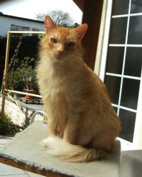 Friki Bild von Friki