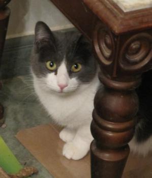 Bild von Vivi