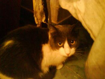 Bild von Vivi