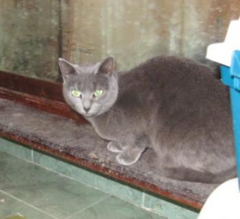 Lumen Bild von Lumen