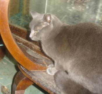 Lumen Bild von Lumen