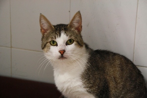 Mahoney Bild von Mahoney