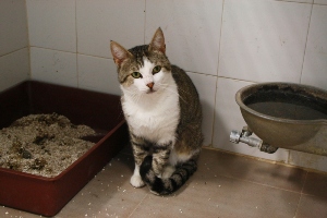 Mahoney Bild von Mahoney
