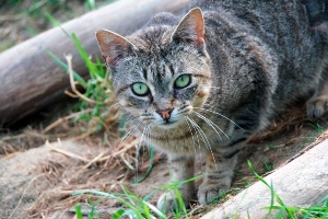 Jean Bild von Jean