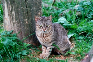 Jean Bild von Jean