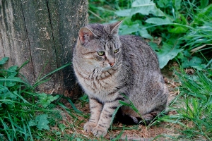 Jean Bild von Jean