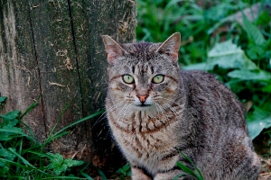 Jean Bild von Jean