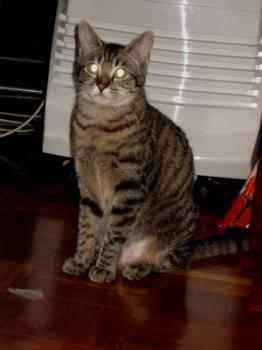 Bild von Casey