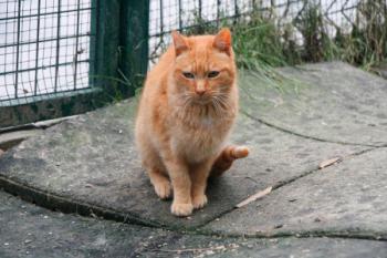 Duncan Bild von Duncan