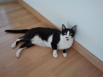 Isona Bild von Isona
