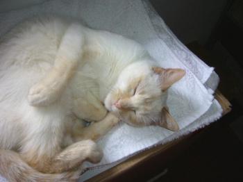 Blanquita Bild von Blanquita