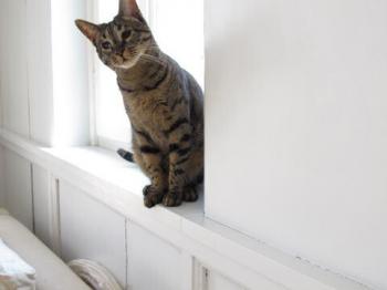 Clea Bild von Clea