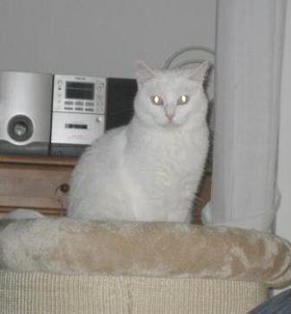 Nube im neuen Zuhause Bild von Nube