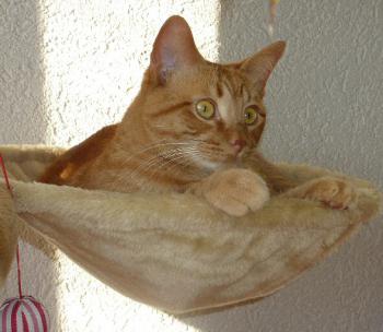 Rubete Bild von Rubete