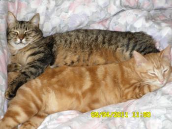 Max Bild von Max