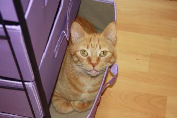 Oliver Bild von Oliver