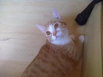 Charly Bild von Charly