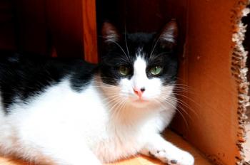 Bruce Bild von Bruce