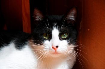 Bruce Bild von Bruce