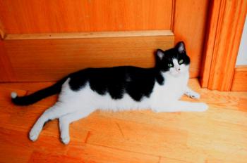 Bruce Bild von Bruce