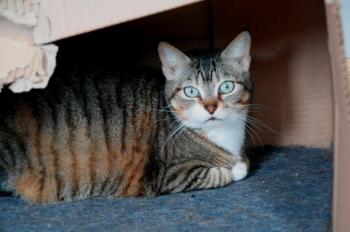 Cleo Bild von Cleo
