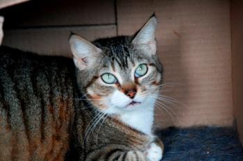Cora Cleo Bild von Cleo