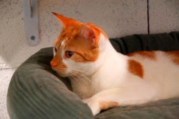 Tino Bild von Tino