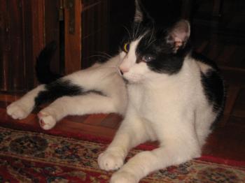 Pablo Bild von Pablo