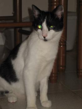 Pablo Bild von Pablo