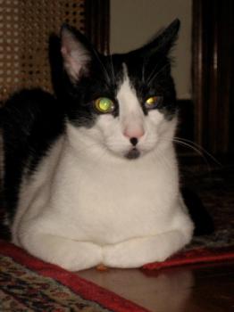 Pablo Bild von Pablo