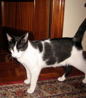 Pablo Bild von Pablo