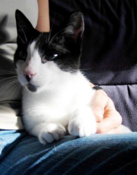 Pablo Bild von Pablo