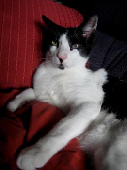 Pablo Bild von Pablo