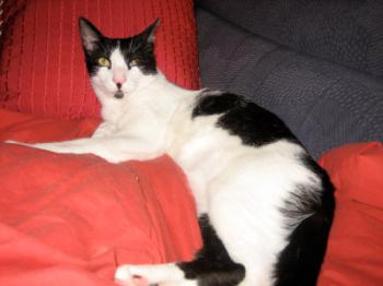 Pablo Bild von Pablo
