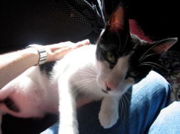 Pablo Bild von Pablo