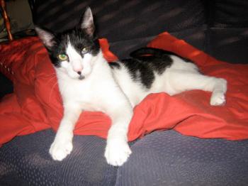 Pablo Bild von Pablo