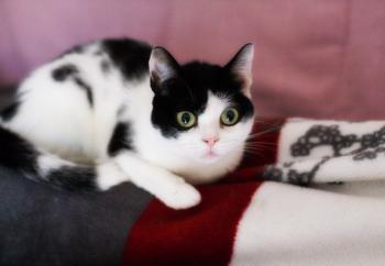 Mitxi Bild von Mitxi