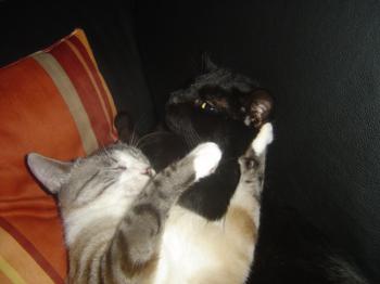 Mina Bild von Mina