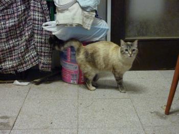 Bety Bild von Bety