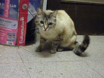 Bety Bild von Bety