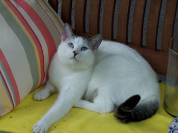 Felisa Bild von Felisa