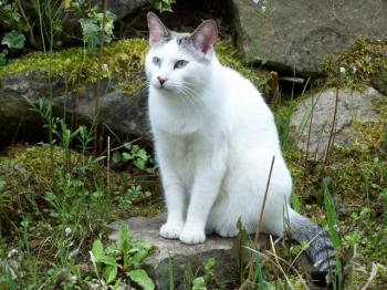 Felisa Bild von Felisa